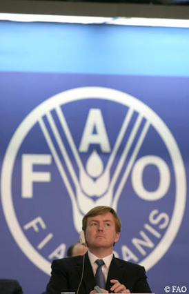 Rome, 22 maart 2007: De Prins van Oranje luistert naar een speech bij de viering van Wereldwaterdag. Deze dag is ingesteld door de Verenigde Naties om aandacht te vragen voor de wereldwaterproblematiek, en is dit jaar georganiseerd door de FAO