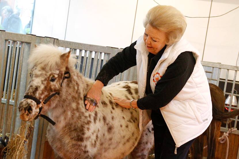 Koninklijke Familie neemt deel aan NL DOET.