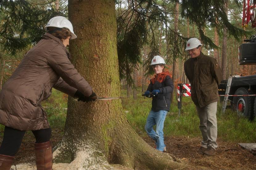 Prinses Margriet start de kap van de 25-meter hoge fijnspar samen met een patiëntje van het Sophia Kinderziekenhuis.