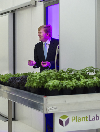 Koning bij opening nieuw R&D centrum PlantLab