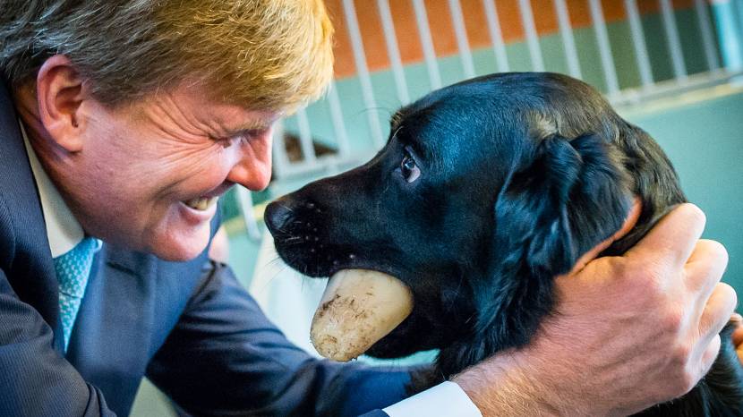 Koning Willem-Alexander opent geleidehondenbeleving