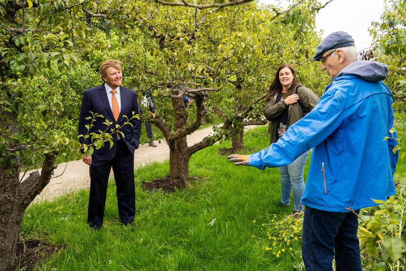 Koning Willem-Alexander tussen de perenbomen in de Hof van Seghwaert