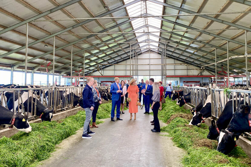 Koning en Koningin in een koeienstal in gesprek met agrariërs.