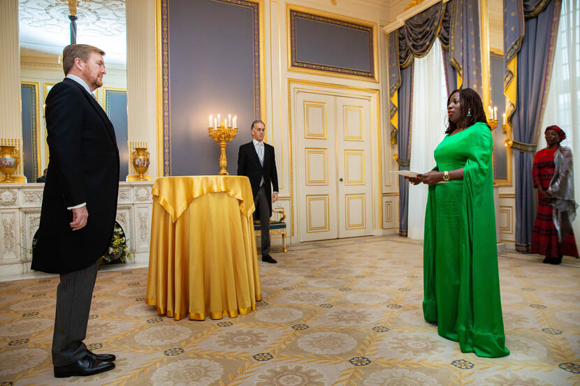 Koning ontvangt geloofsbrieven ambassadeur Kameroen