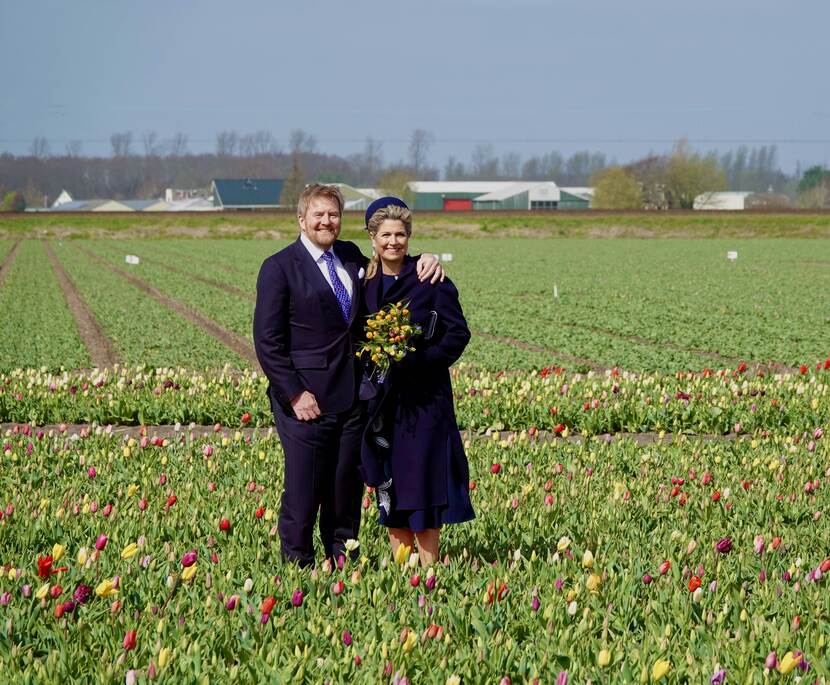 Koning Willem-Alexander en Koningin Máxima poseren tijdens hun bezoek aan de Duin- en Bollenstreek in Hillegom op een speciaal tulpenveld met een wandelpad en fotogenieke objecten.