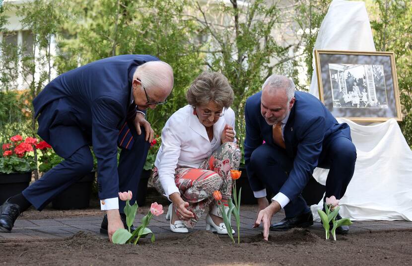 Prinses Margriet en prof. mr. Pieter van Vollenhoven planten een bed met Prinses Margriet-tulpen bij het huis Stornoway