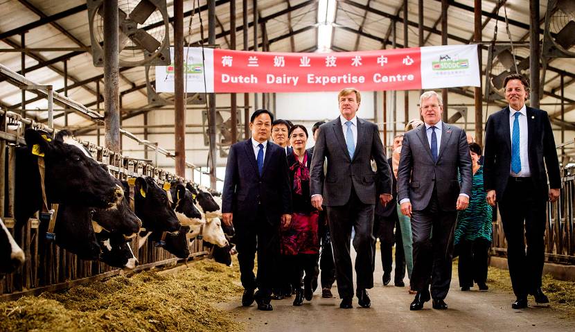 Koning Willem-Alexander bezoekt het Sino-Dutch Dairy Development Center.